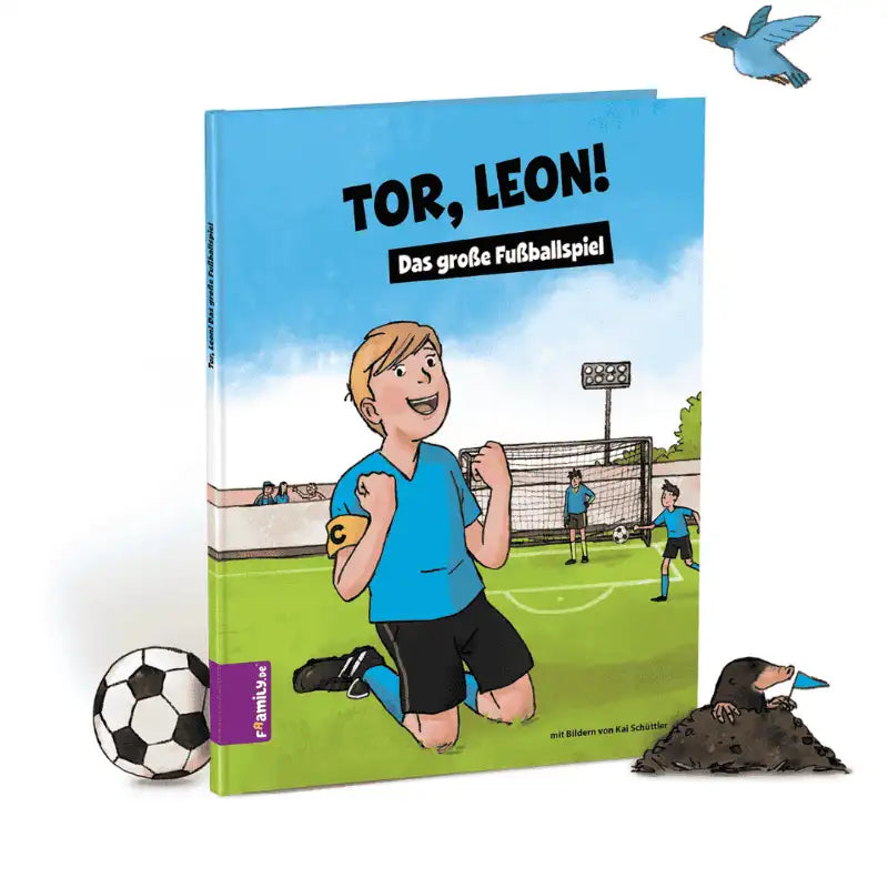 Buchcover das große Fußballspiel