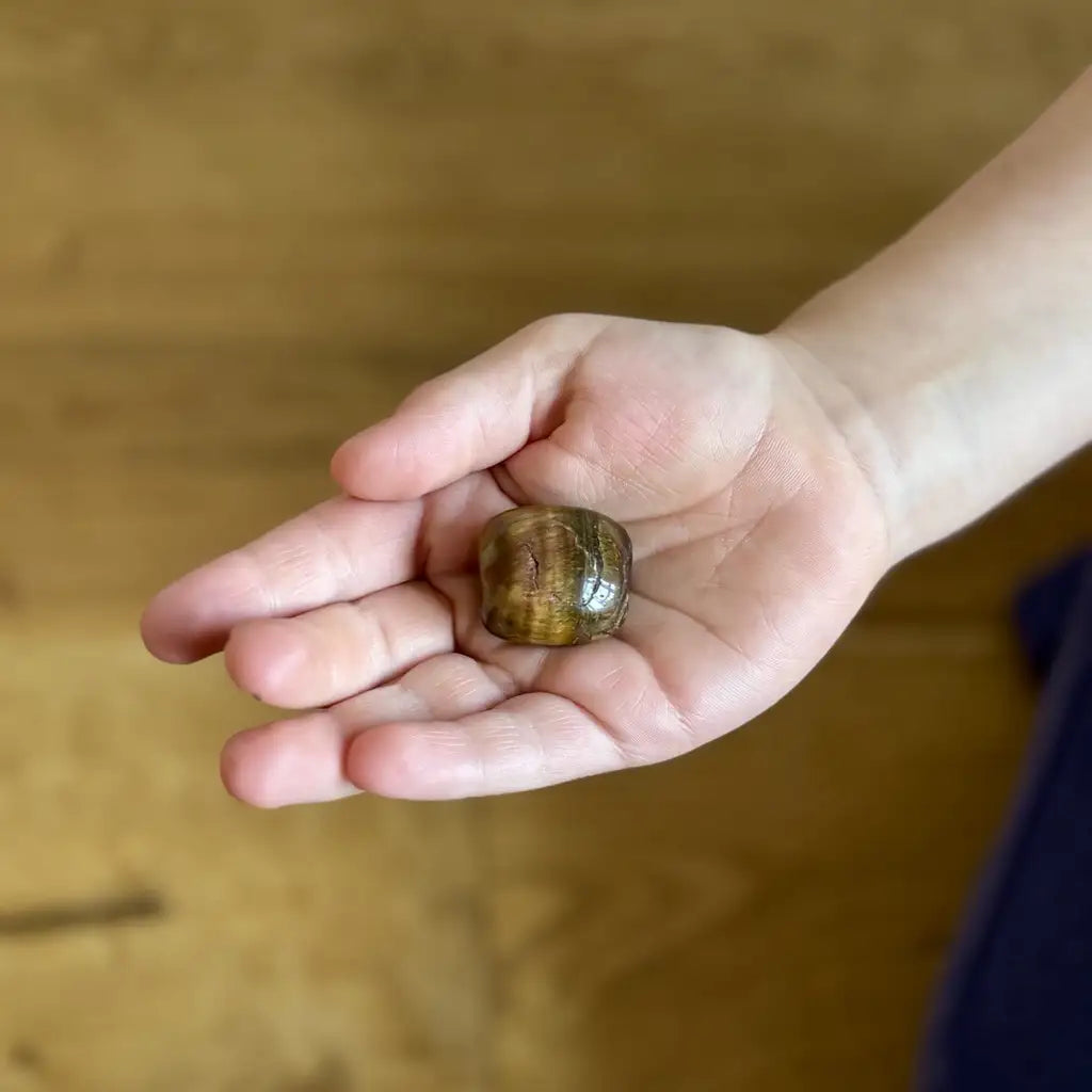 Ausgestreckte Kinderhand die ein Tigerauge hält